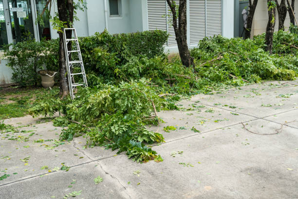 Tree Removal for Businesses